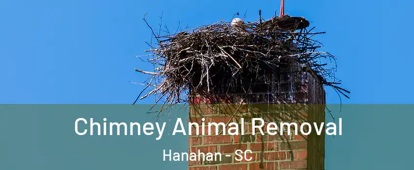  Chimney Animal Removal Hanahan - SC