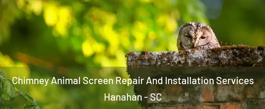  Chimney Animal Screen Repair And Installation Services Hanahan - SC