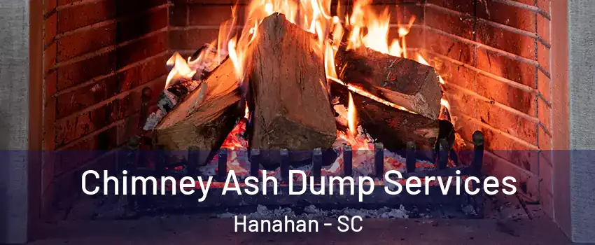  Chimney Ash Dump Services Hanahan - SC