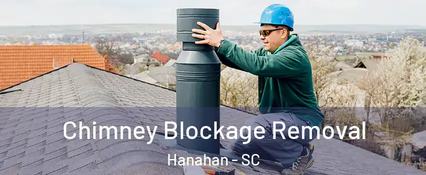  Chimney Blockage Removal Hanahan - SC