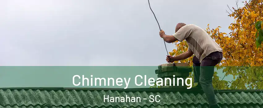  Chimney Cleaning Hanahan - SC