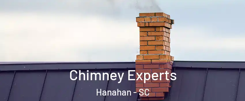  Chimney Experts Hanahan - SC