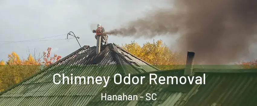  Chimney Odor Removal Hanahan - SC