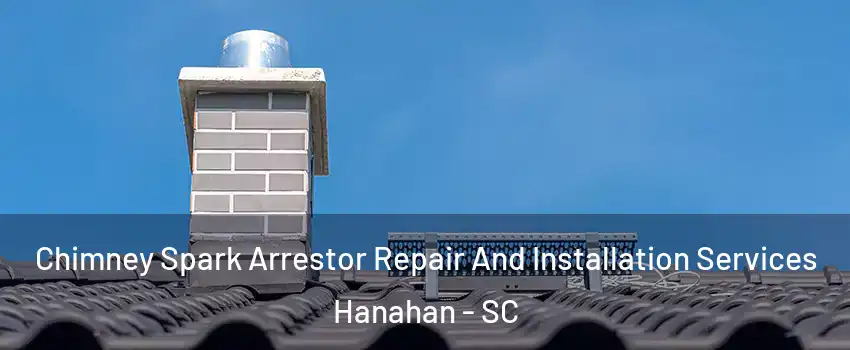  Chimney Spark Arrestor Repair And Installation Services Hanahan - SC