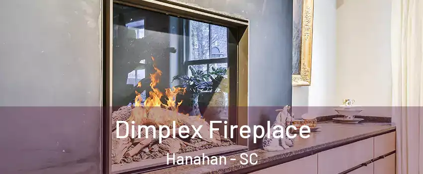  Dimplex Fireplace Hanahan - SC