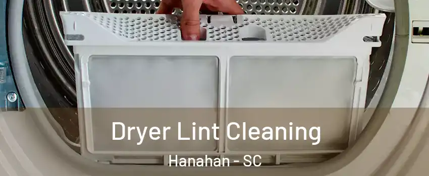  Dryer Lint Cleaning Hanahan - SC