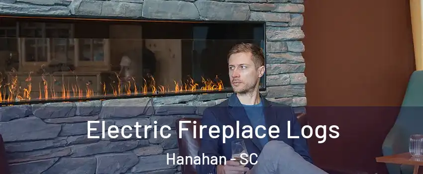 Electric Fireplace Logs Hanahan - SC