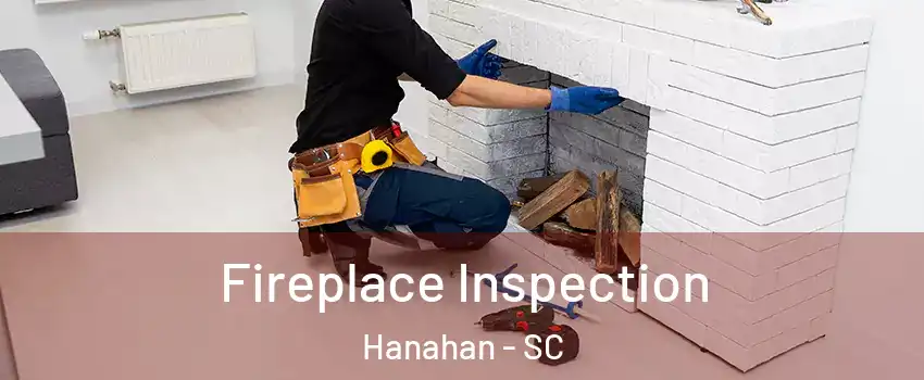  Fireplace Inspection Hanahan - SC