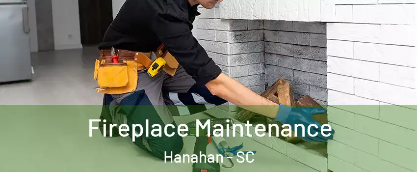  Fireplace Maintenance Hanahan - SC