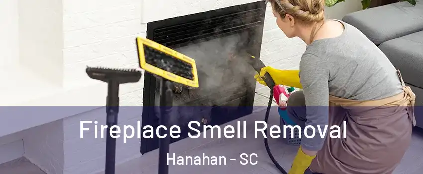  Fireplace Smell Removal Hanahan - SC