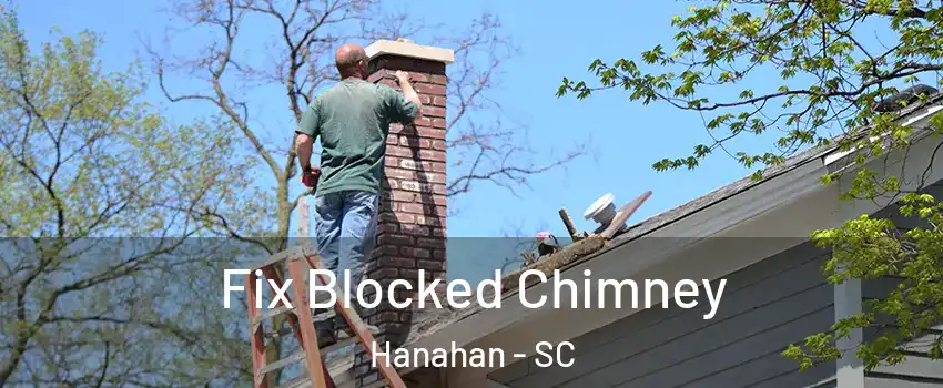  Fix Blocked Chimney Hanahan - SC