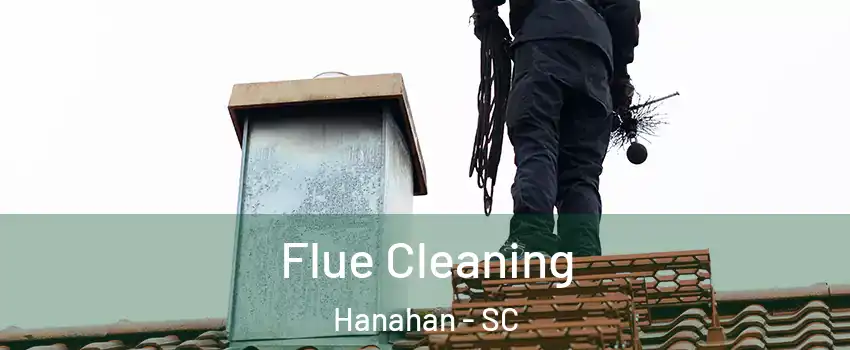  Flue Cleaning Hanahan - SC