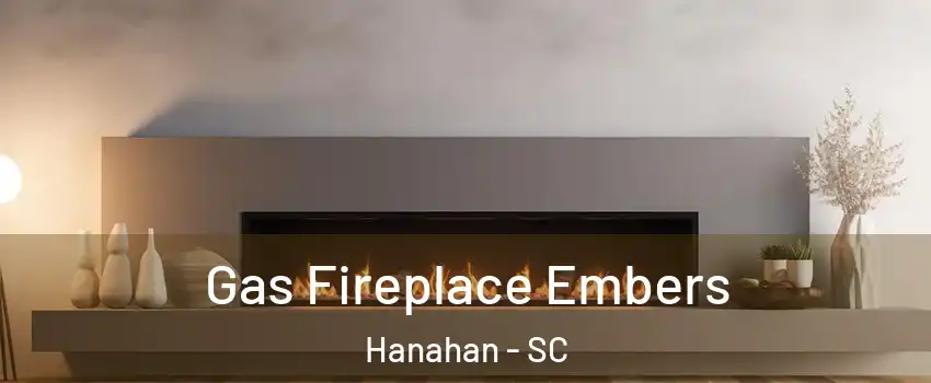  Gas Fireplace Embers Hanahan - SC