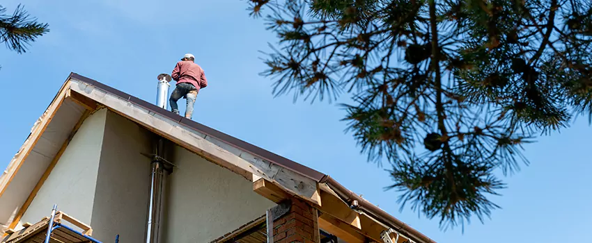 Birds Removal Contractors from Chimney in Hanahan, SC
