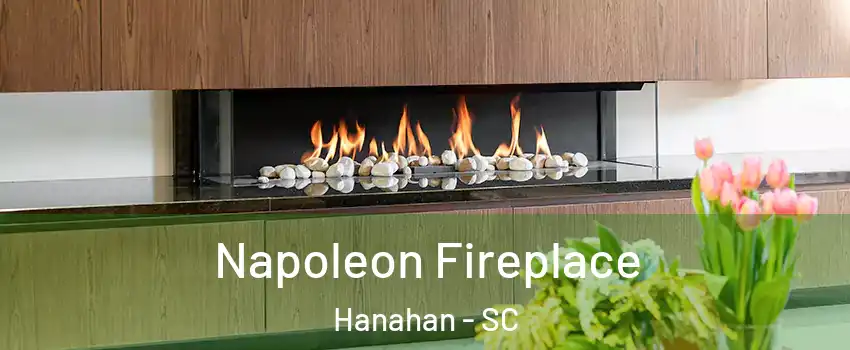  Napoleon Fireplace Hanahan - SC