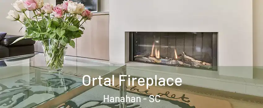  Ortal Fireplace Hanahan - SC
